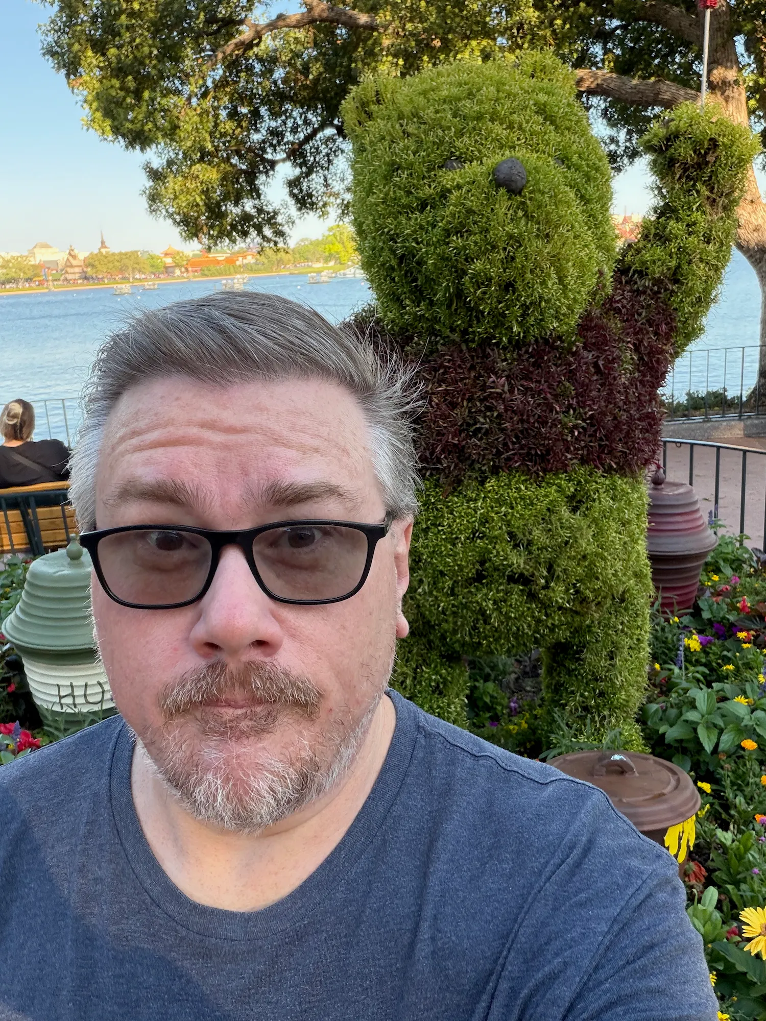 my dumb face with the winnie the pooh topiary
