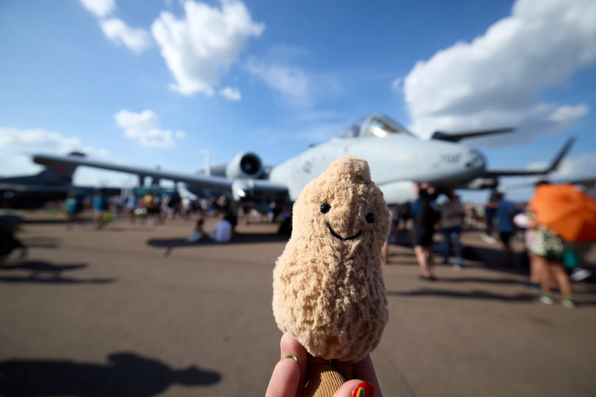 Peanut..and the A-10 (#1)