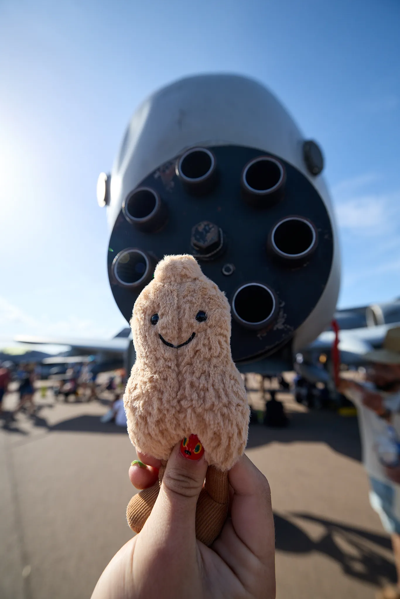 Peanut..and the cannon from the A-10